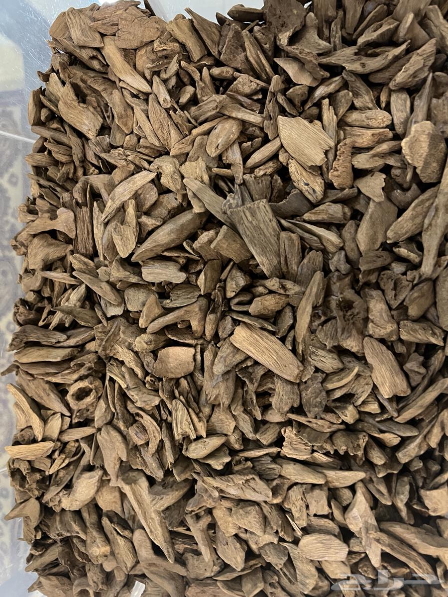 Return Moroccan natural high-quality accuracy63143242579713111