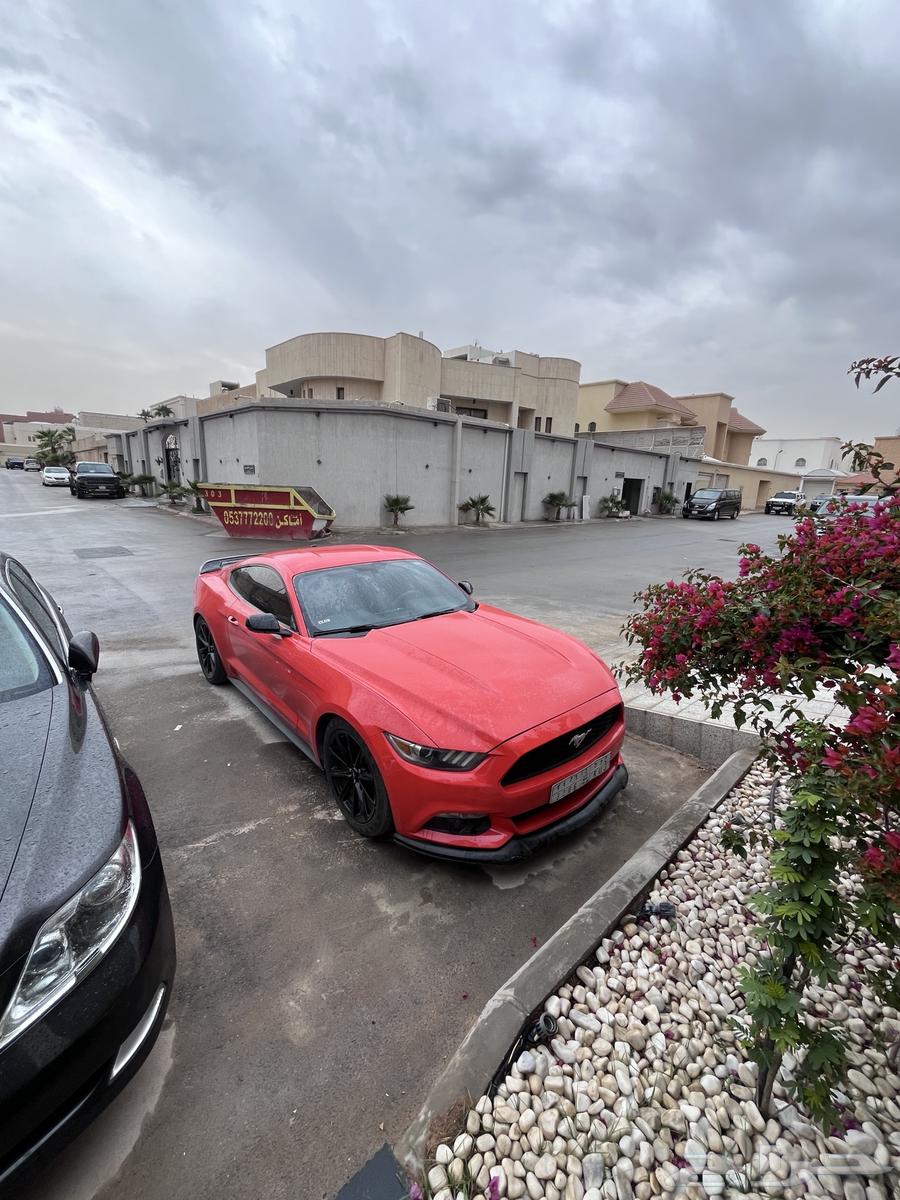 Mustang EcoBoost Twin Turbo 201563209867587714114