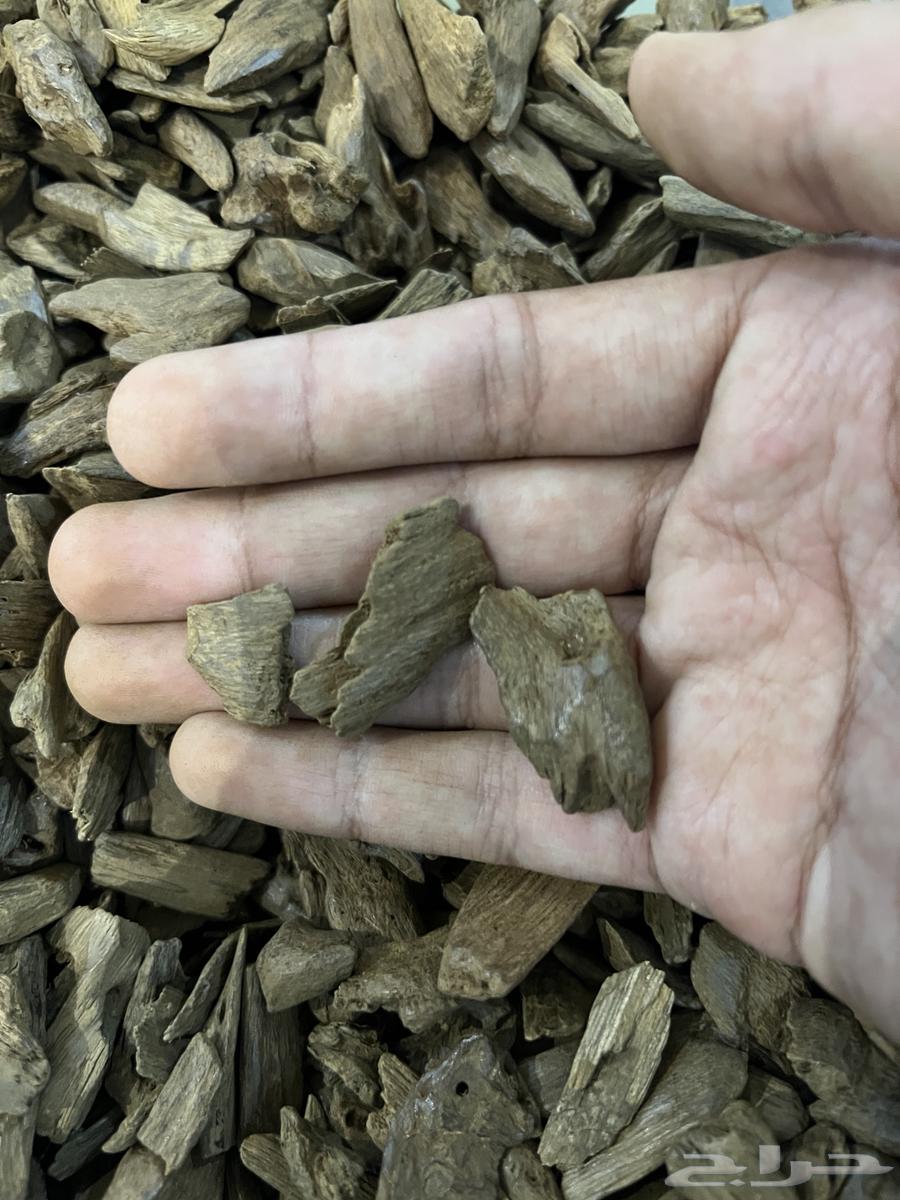 Return Moroccan natural high-quality accuracy63143242579713113