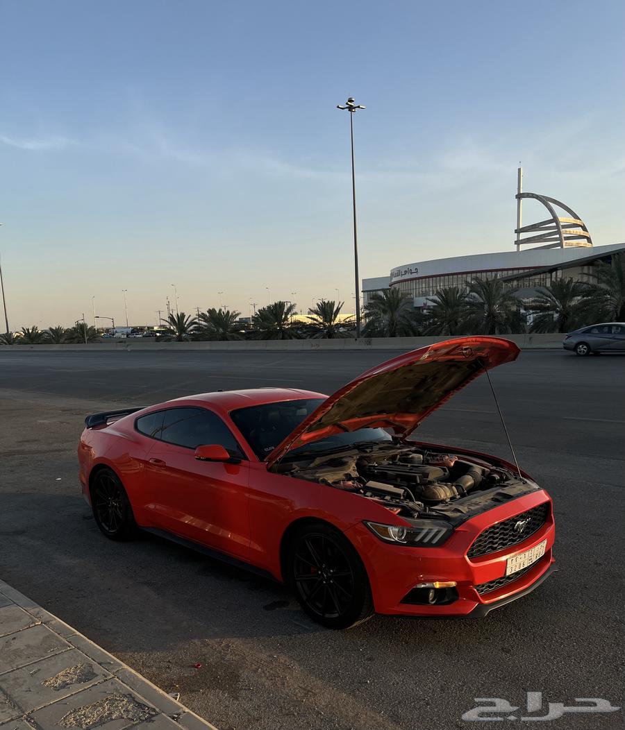 Mustang EcoBoost Twin Turbo 201563209867587714111
