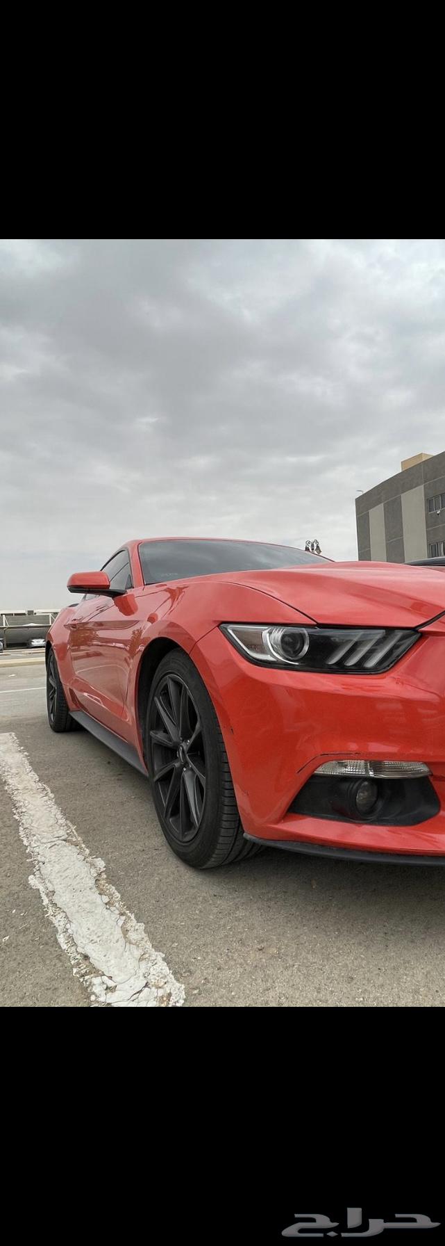 Mustang EcoBoost Twin Turbo 201563209867587714113