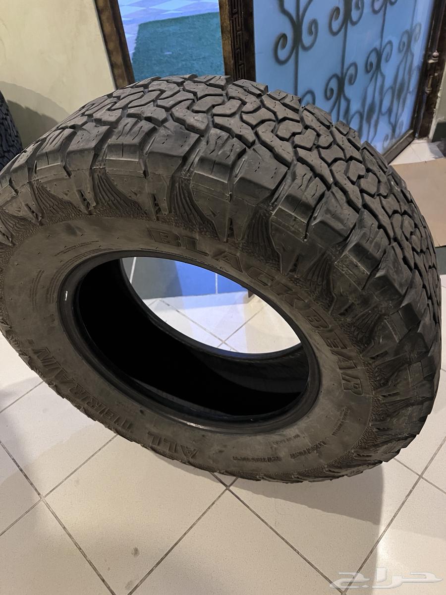 Black Bear Gravel Pads and Marshall Gravel Pads 1763208886941570111