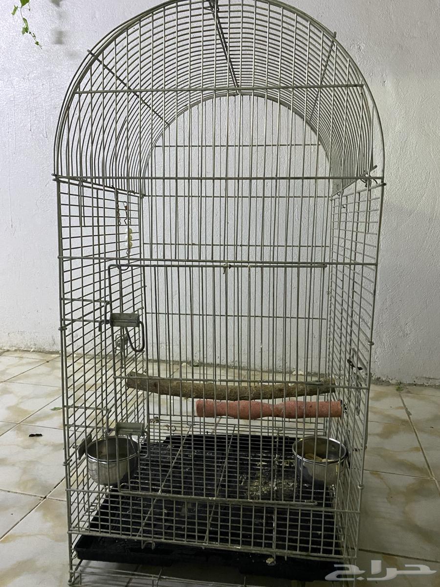 Kasco cage63141865666561118