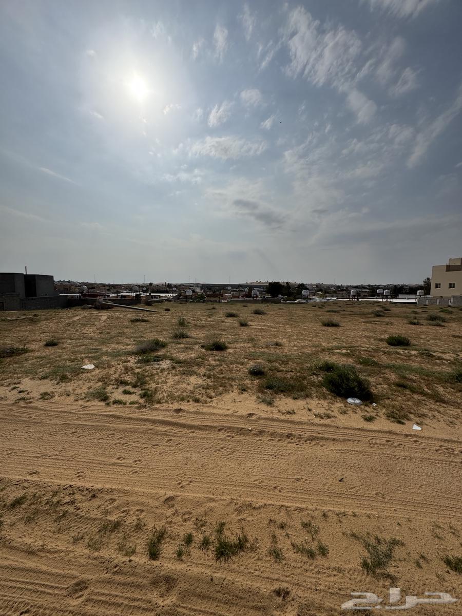 For sale, a land plot in the northern Al-Hamra district of Buraidah (Al-Awali)63015673392513116