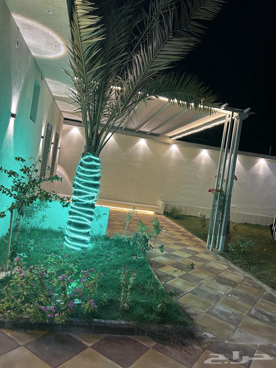Chalets for rent in Al-Afja62887416717826112