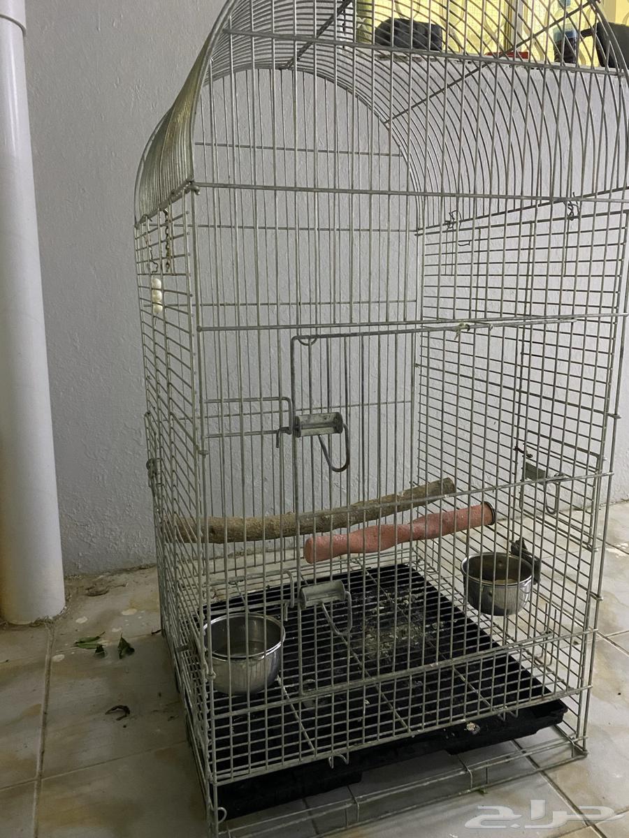 Kasco cage63141865666561111