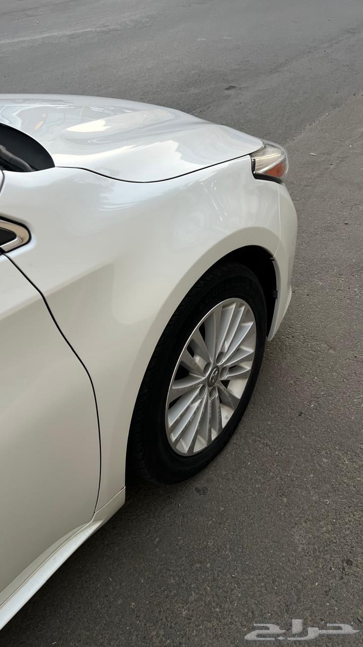 Avalon Limited 2015, a peak in cleanliness63208428397441114