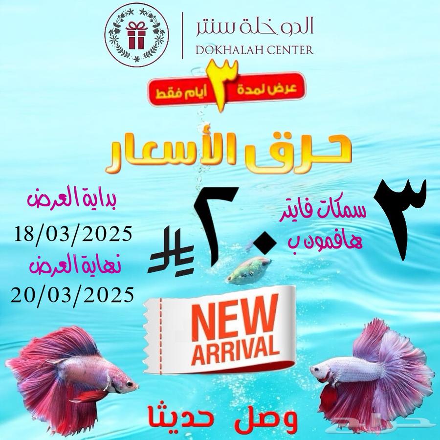 Fish Fighter Halfmoon 3 for 20 SAR631394719754271110