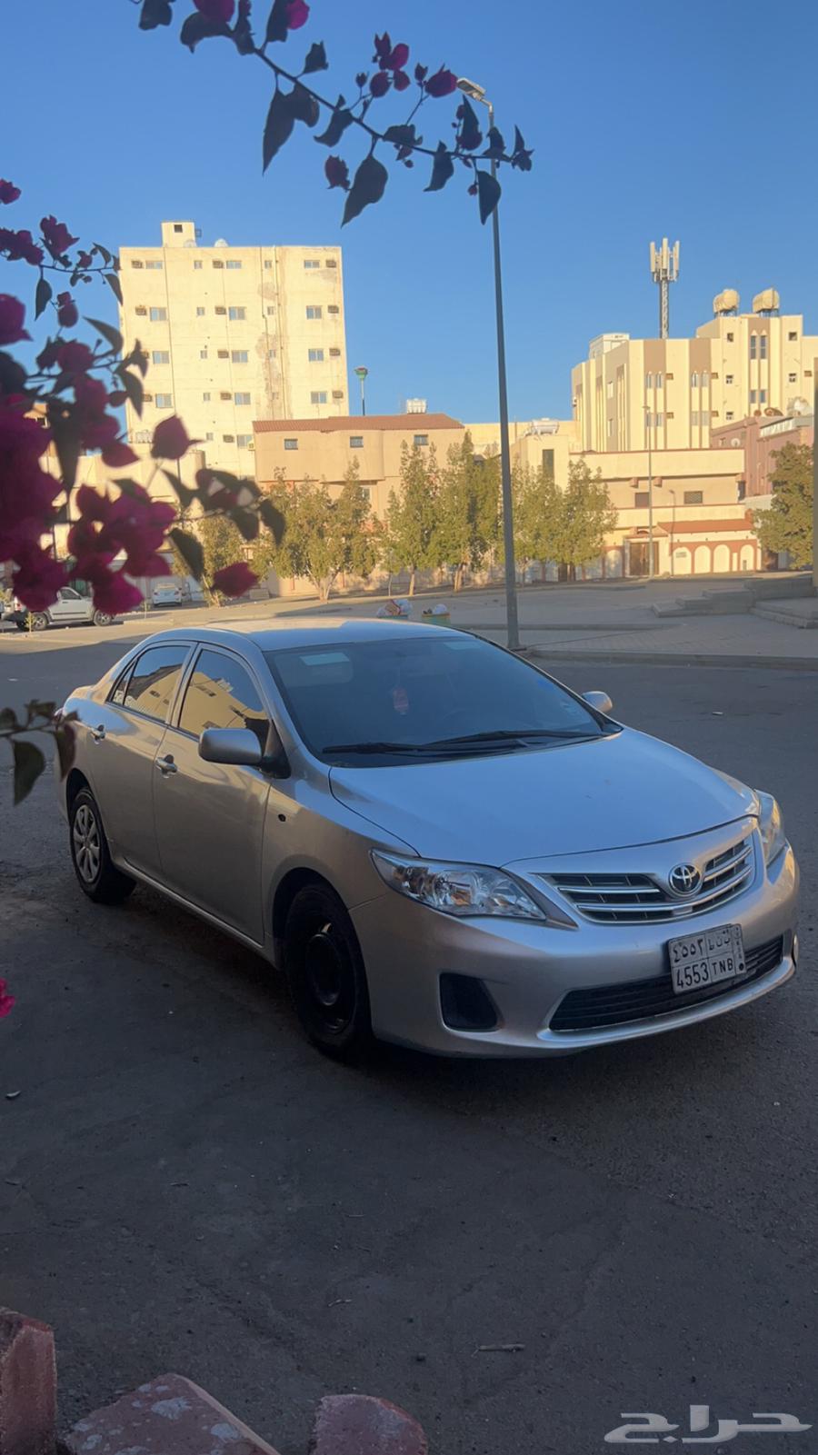 Carla 2013 for sale or exchange63204886711554111