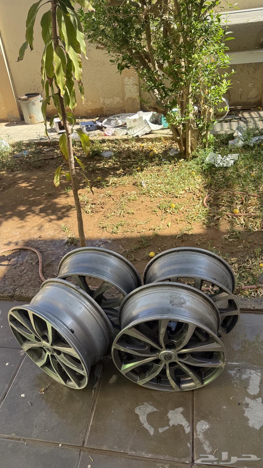 Kamry 2016 rims63204316845059113