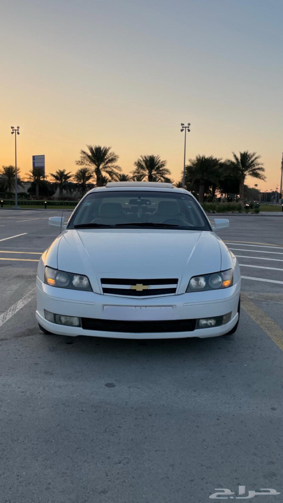 Kabers 2005 SS632134676570891129