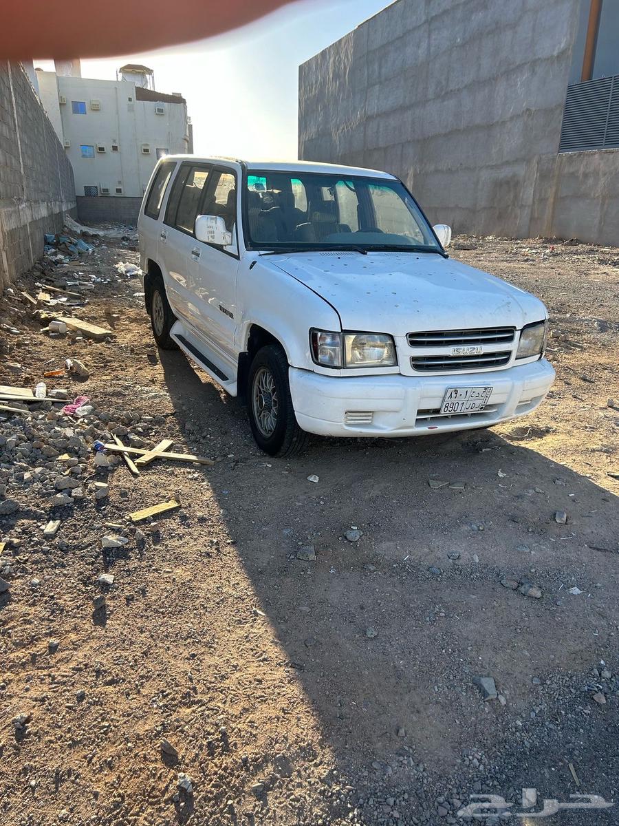 Jib Aysou model 9963202712904067113