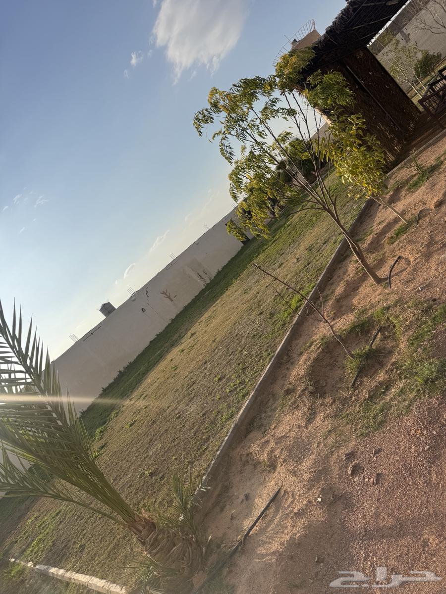 Sahab Resort62886395707011113