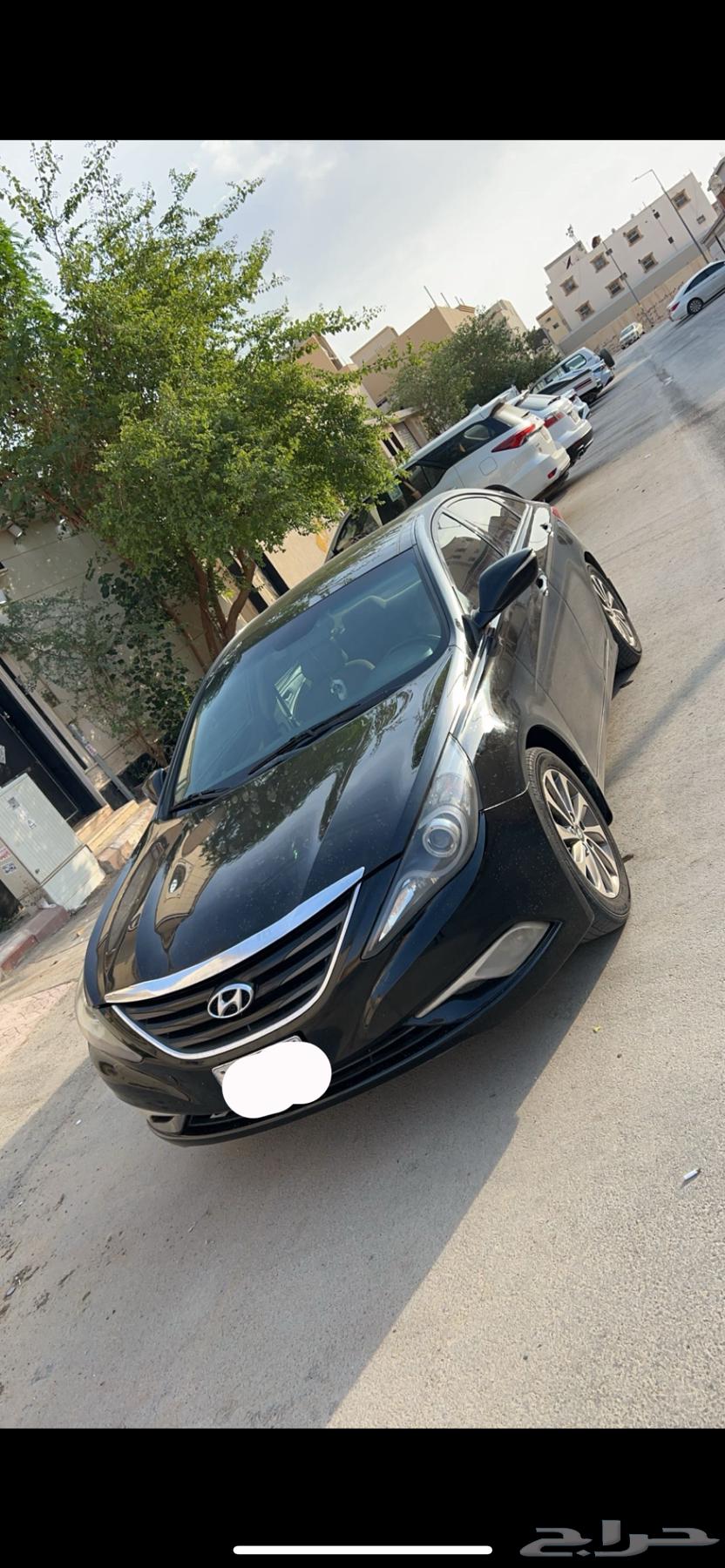 Sonata 2014 text file63204305260035111