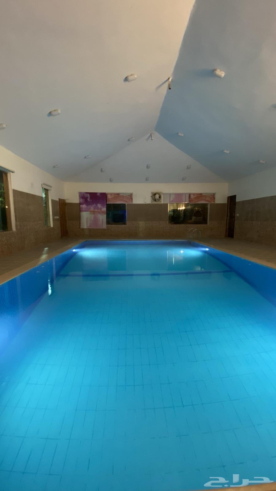 Daily rental chalets62886396766339110