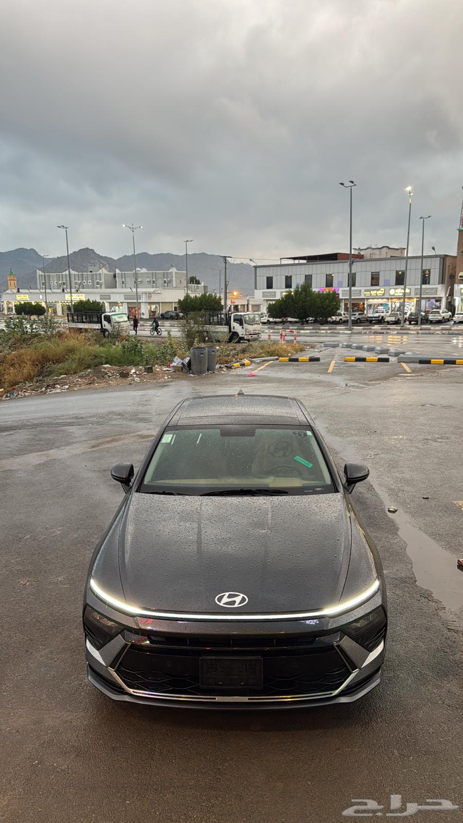 Sonata 202463198646406530111