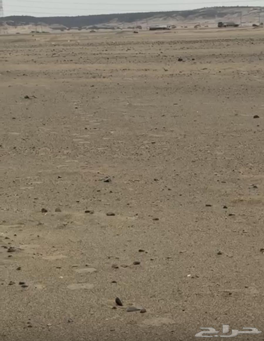 Land for sale, Jewel Map, Thuwal62885341440387111