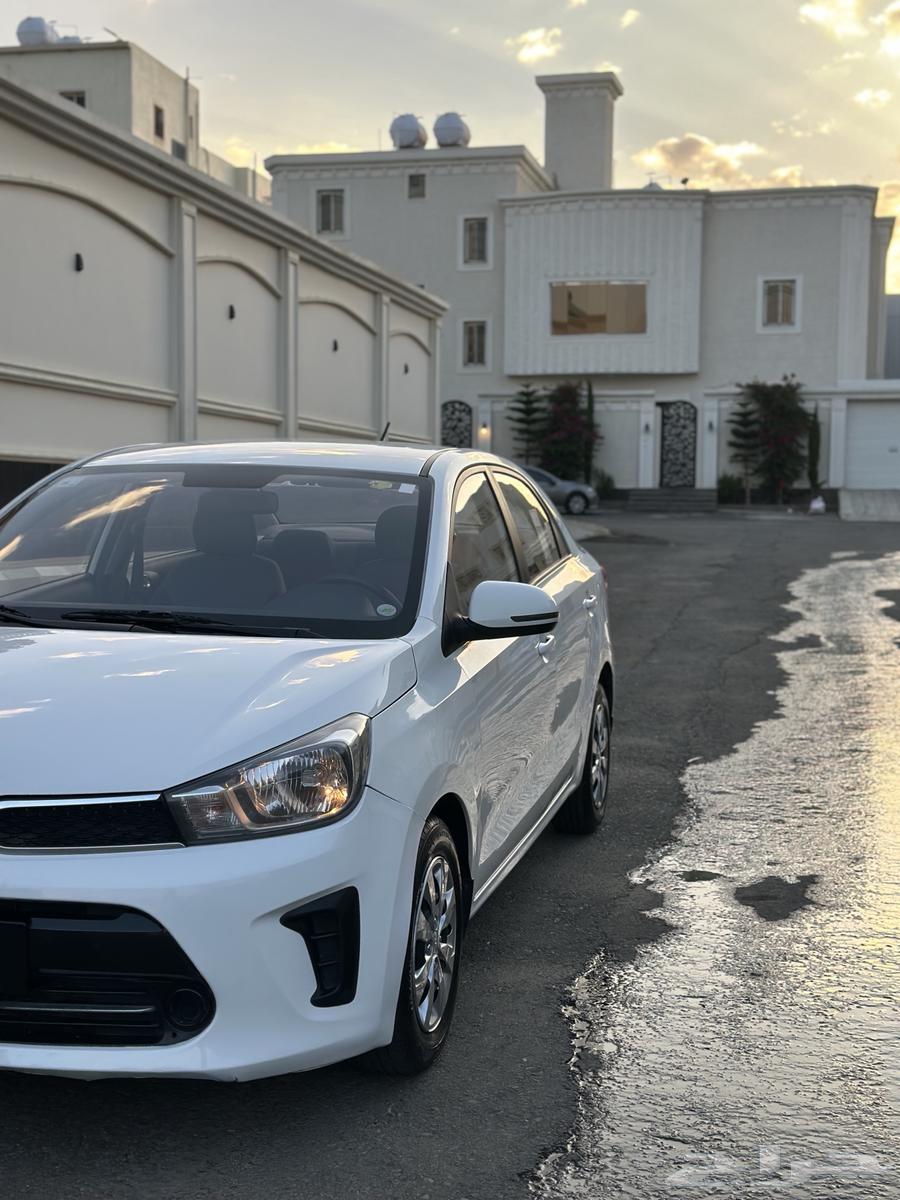 (Sold ..) Pegas 202263209377658242114