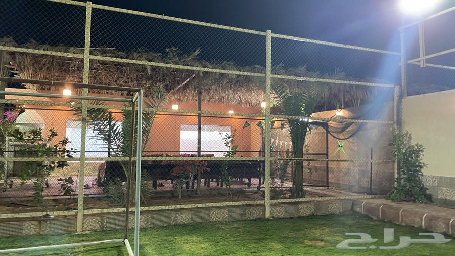Daily rental chalets62886396766339113