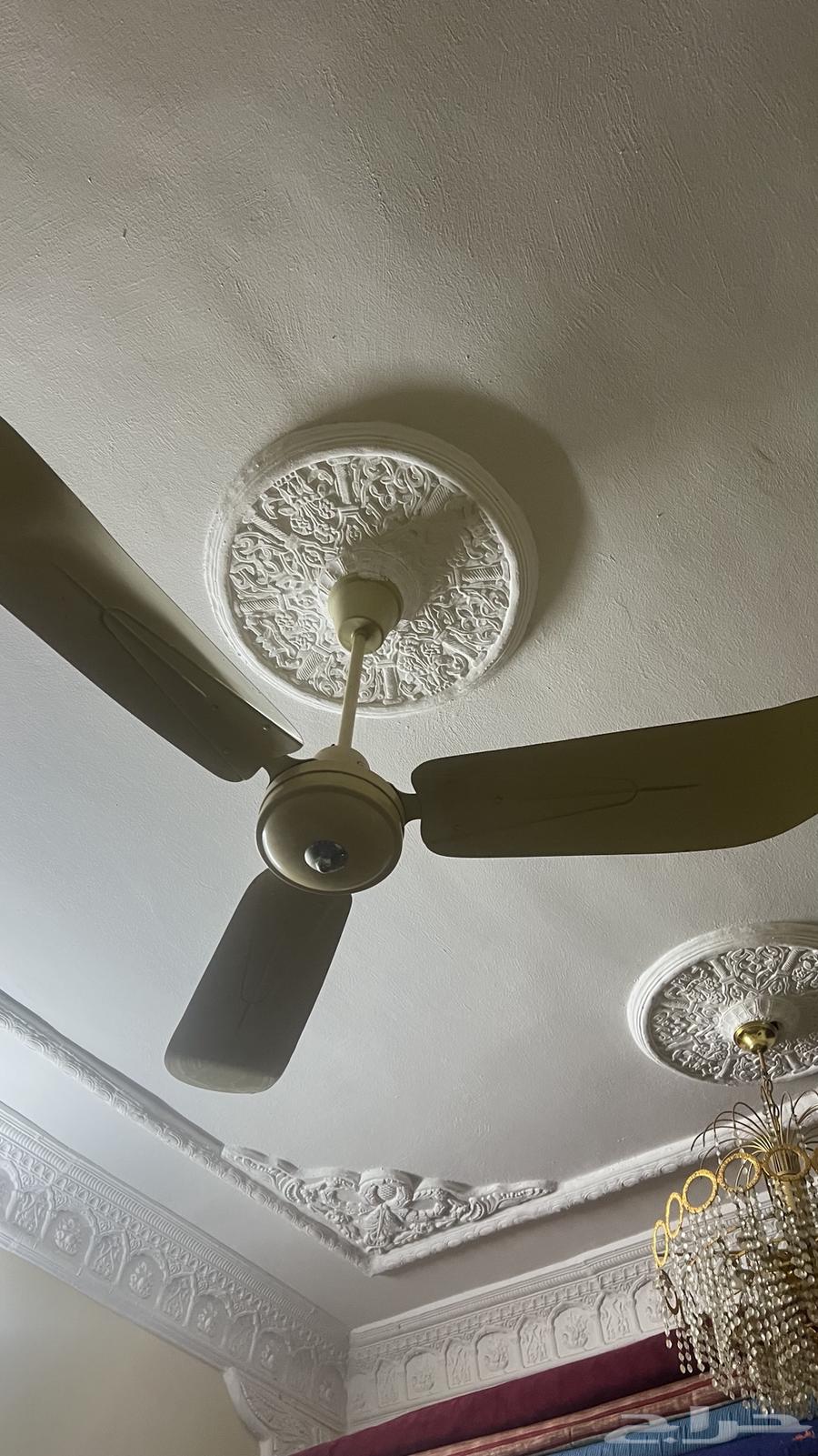 Three fans for sale63134246664577113
