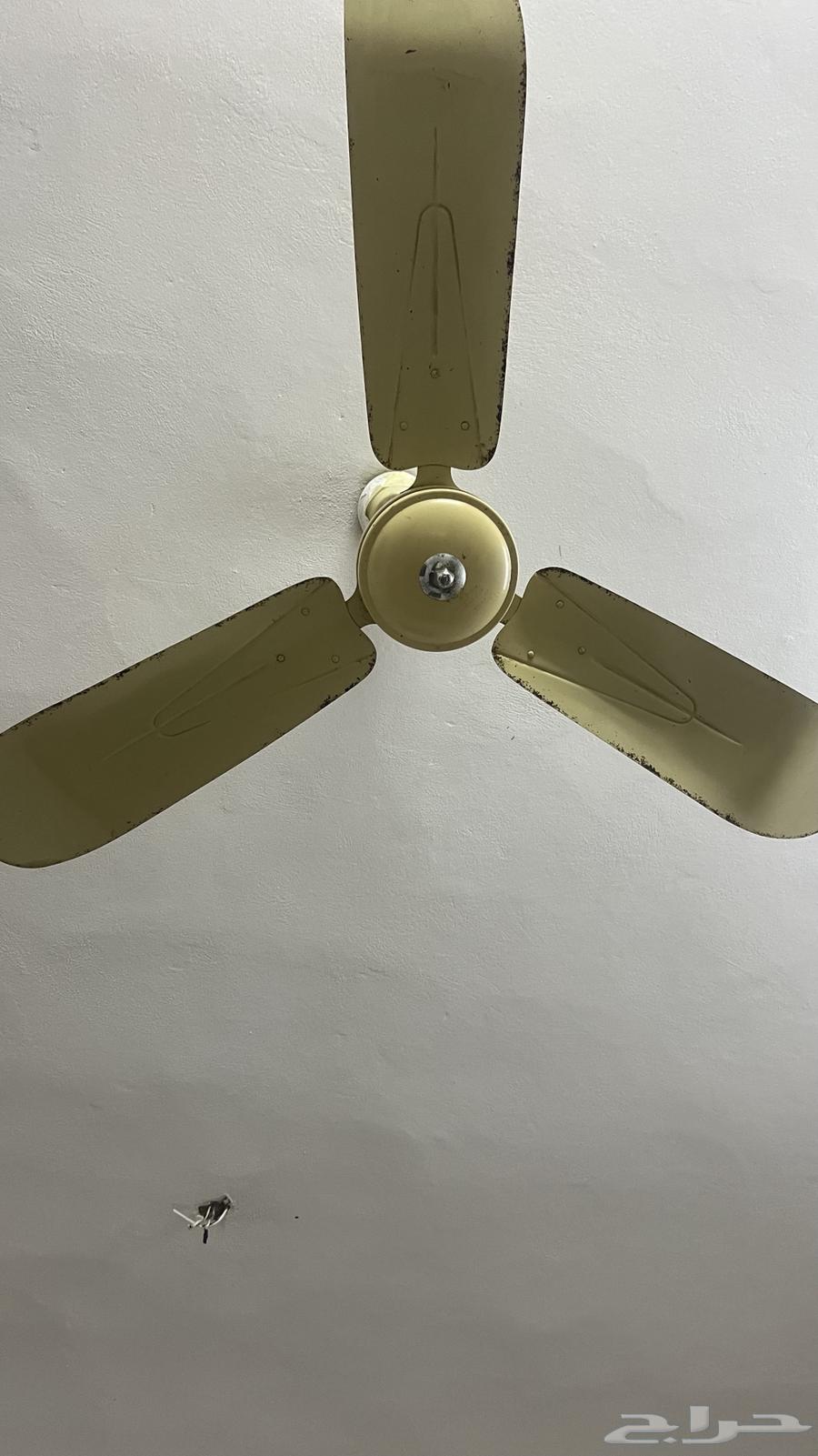 Three fans for sale63134246664577119