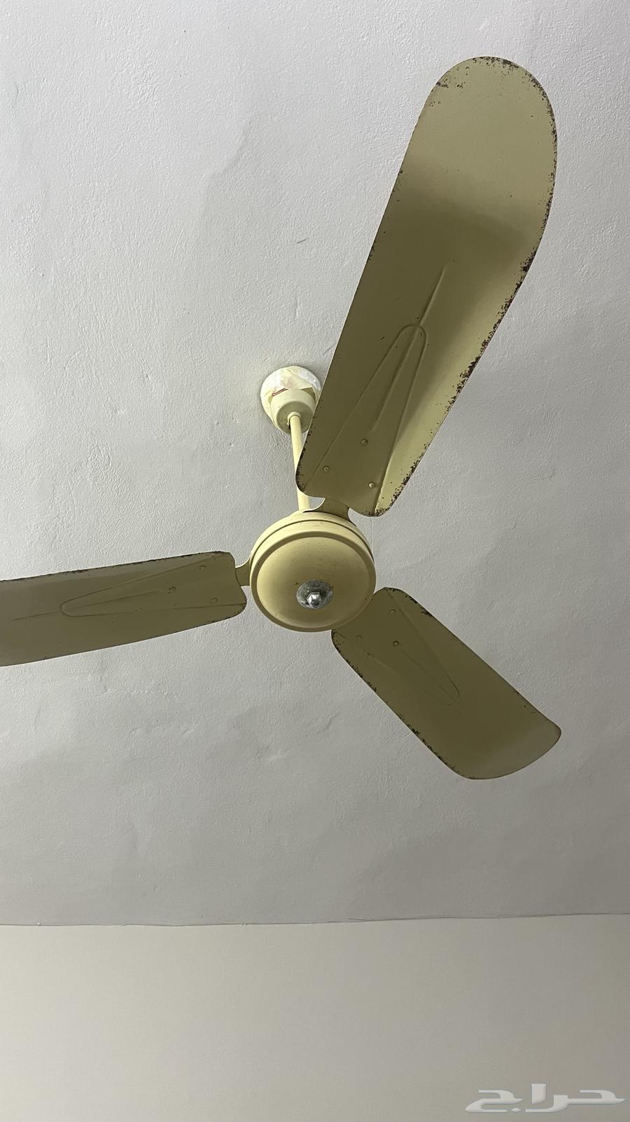 Three fans for sale63134246664577111