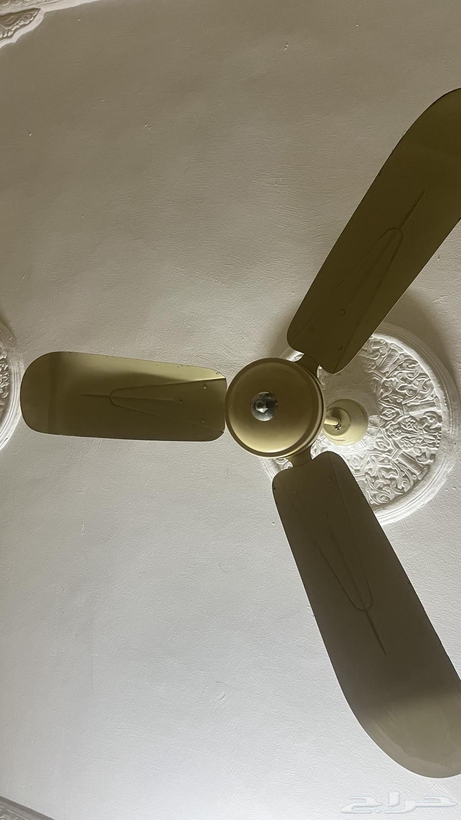 Three fans for sale63134246664577112