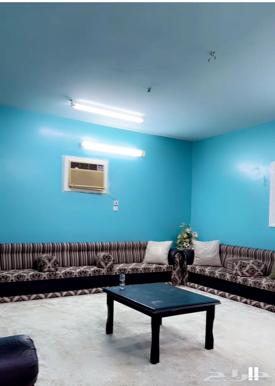 ابها حي المروج63016932516225111