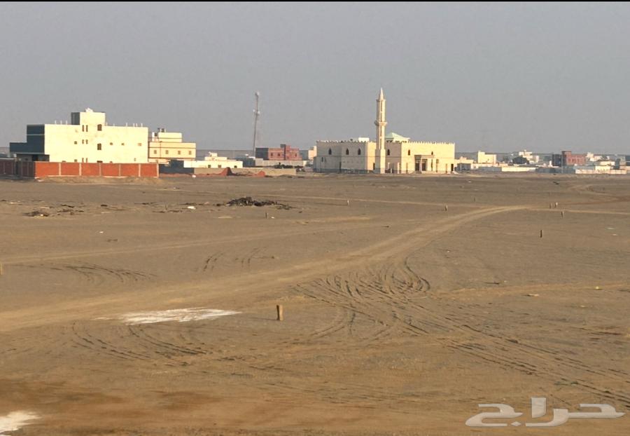 Land for sale, Al-Sabir plan, northern side overlooking a garden63016932209155111