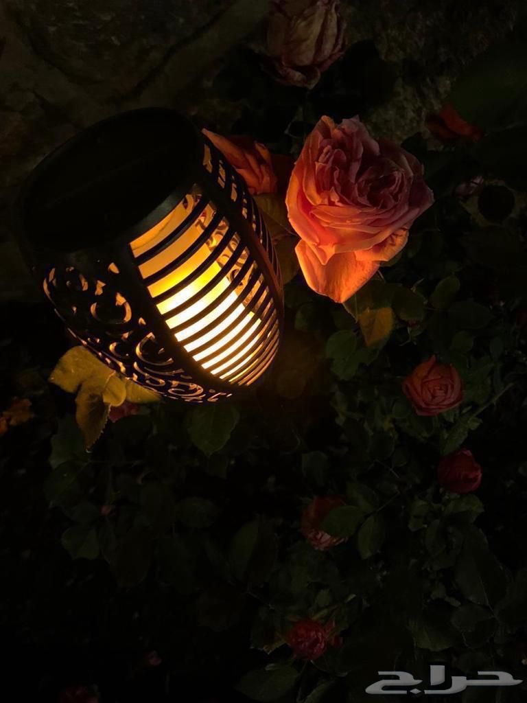 شاليهات الفهد بالشفا63016932234242113