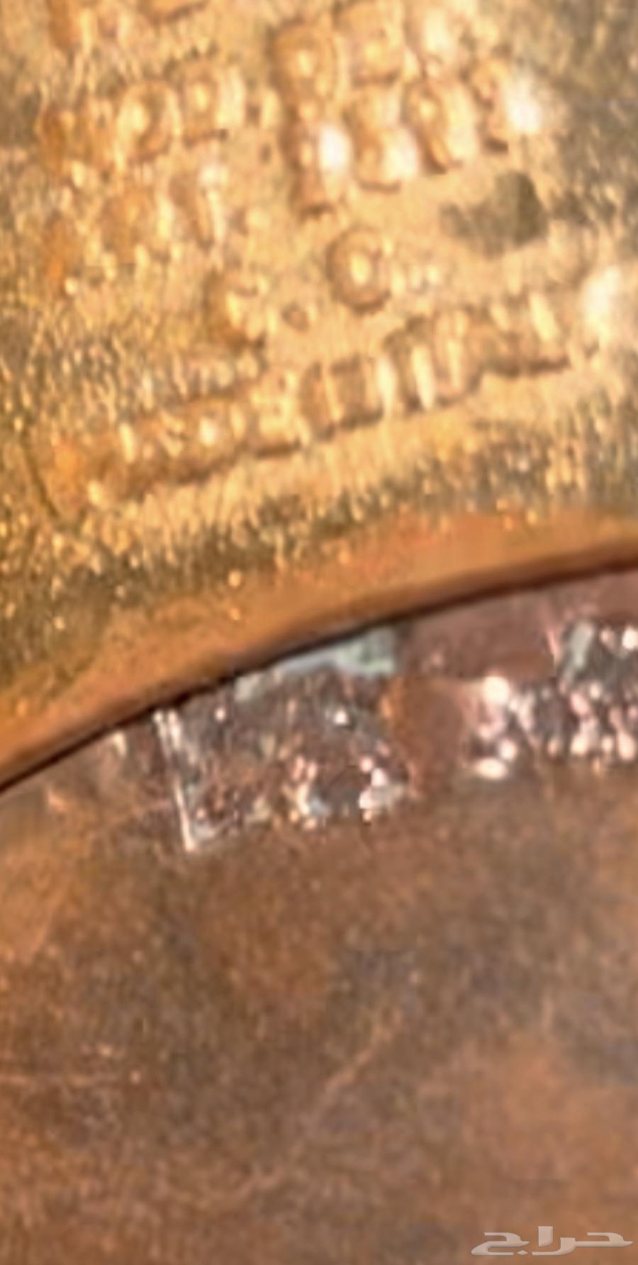 For example, European copper hawk63240871568003114