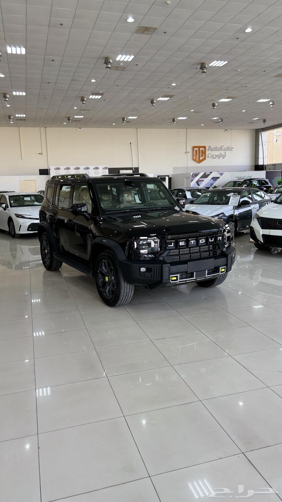 Geely T2 Luxury Full 202563192643031170110