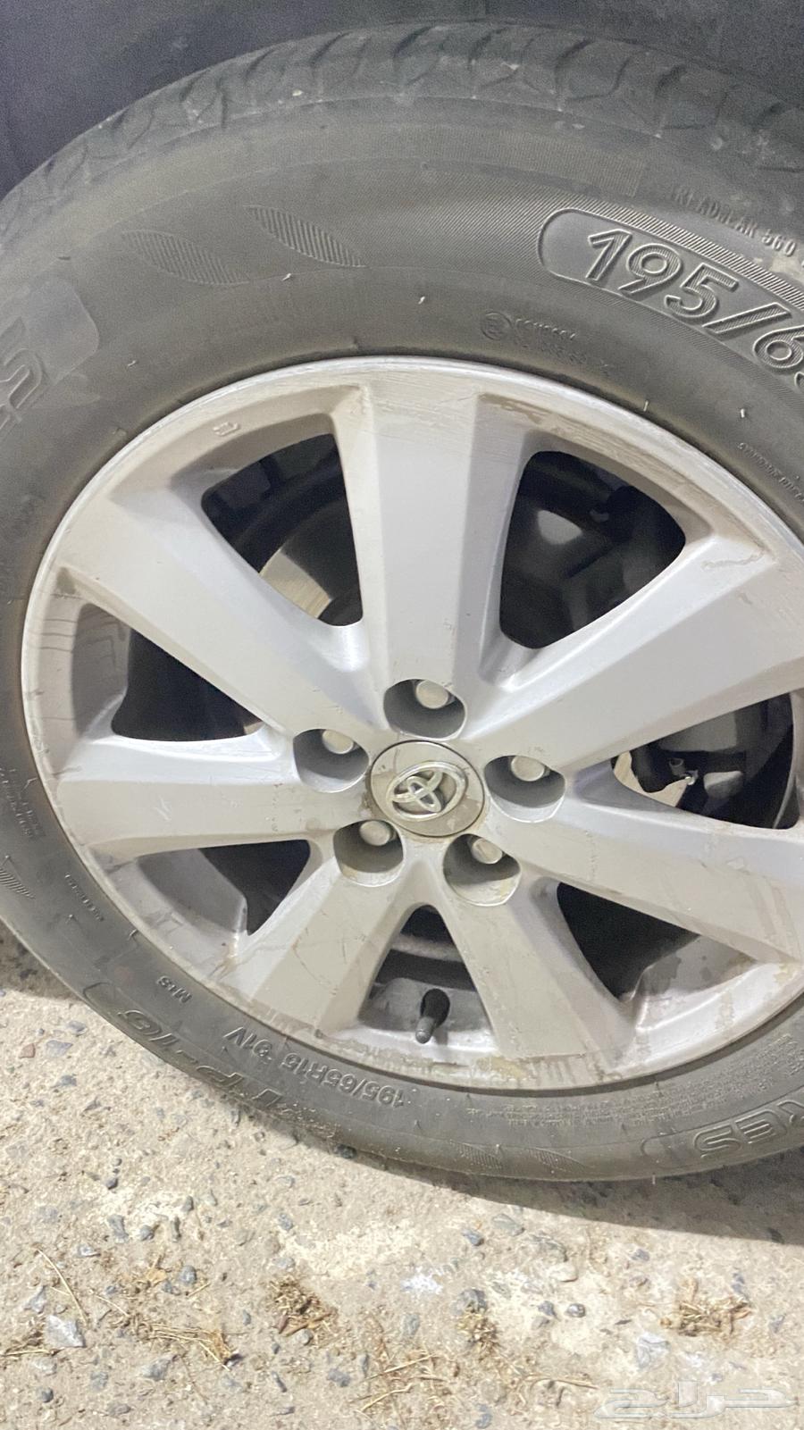 Korla rims from 8 to 13, plus63195652827778111
