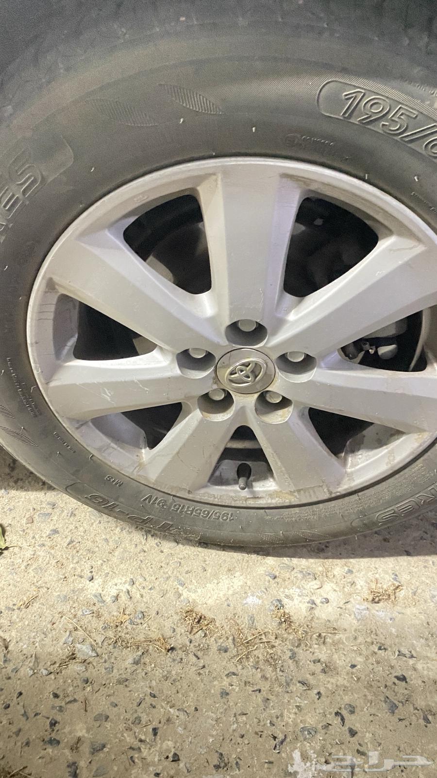 Korla rims from 8 to 13, plus63195652827778112
