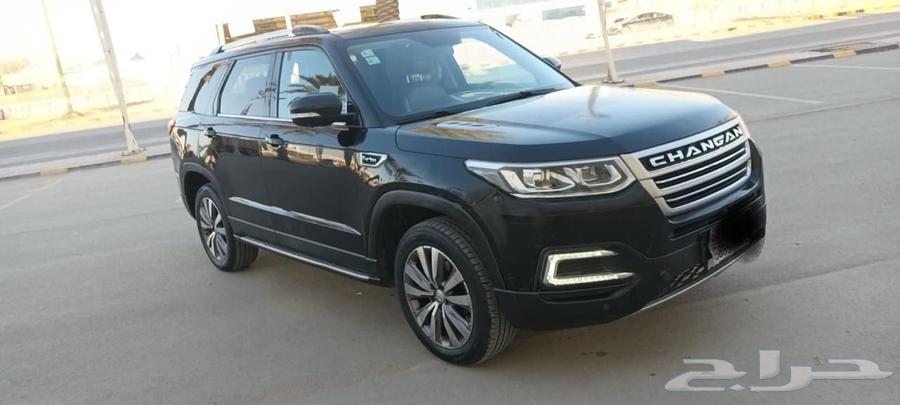 شانجان 202063197200796931117