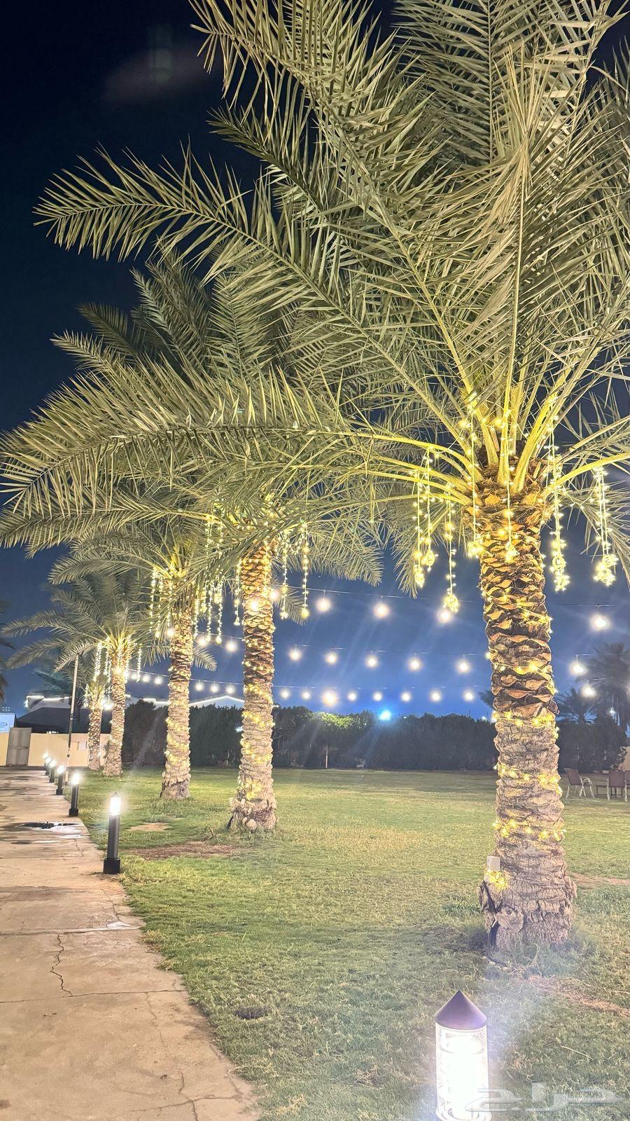 استراحة فاخرة بحديقة للايجار في الفيصليه63015214629506113