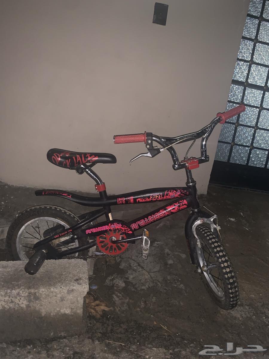 Cobra bicycle 16 inch without support 280, with support 290631306748372511111