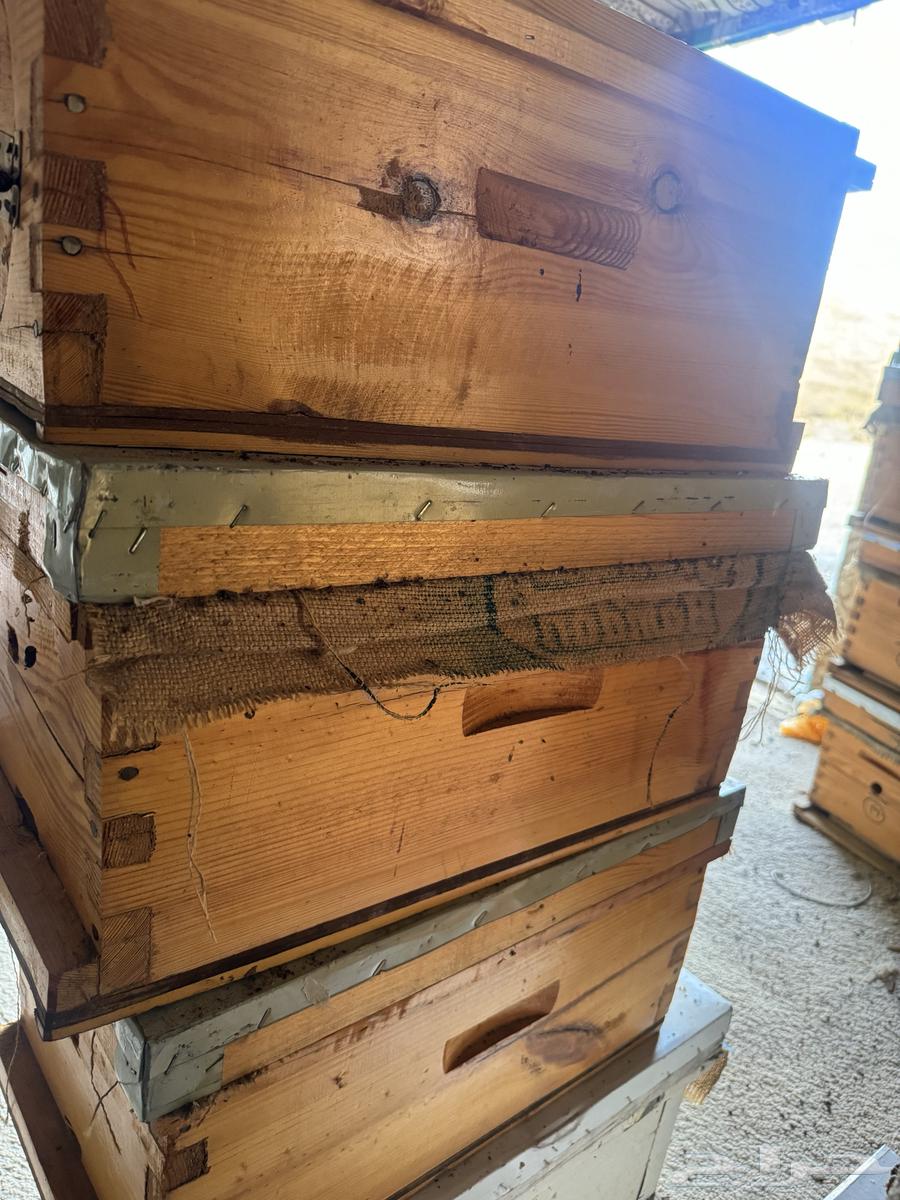 Honeycomb631302889630751123