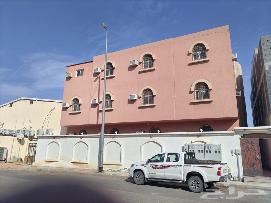 عماره للبيع او الاستثمار63014747803523111