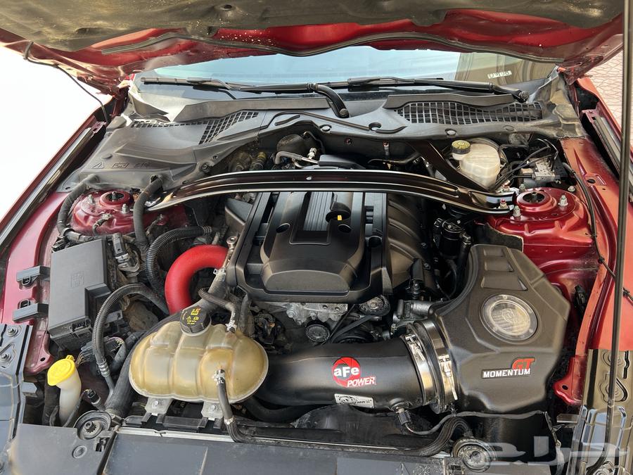 Ford Mustang 2019 EcoBoost High Performance63191650272769111