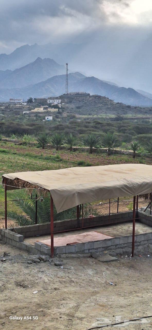 فرصة مميزة أرض زراعية بصك الكتروني628863983923221124