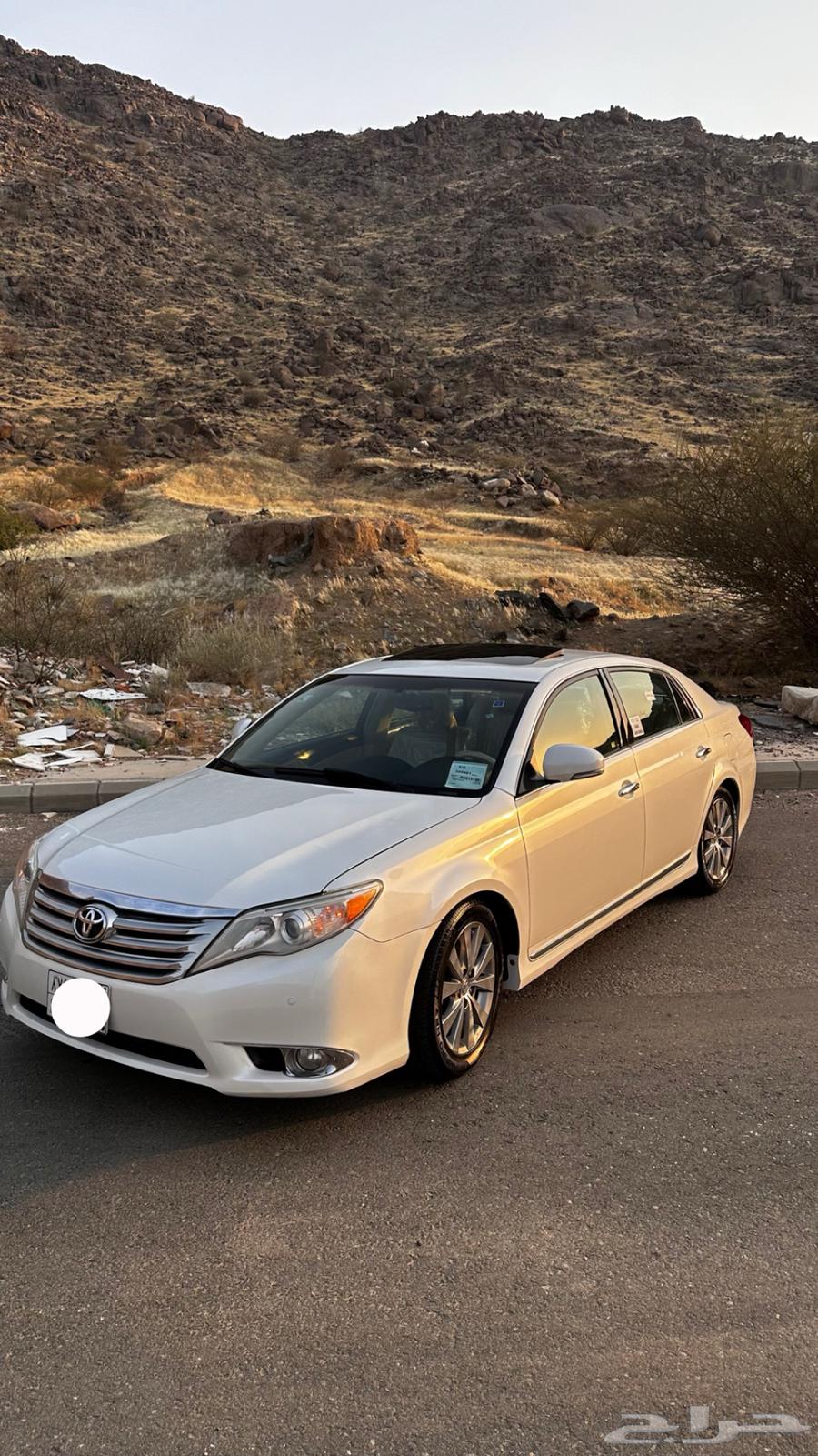 Avalon 2011 Limited63187742087810112