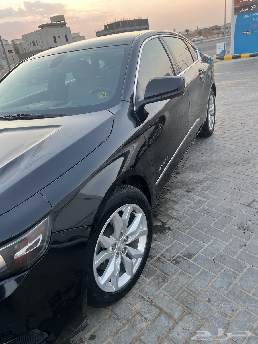 الزلفي63186313155203114