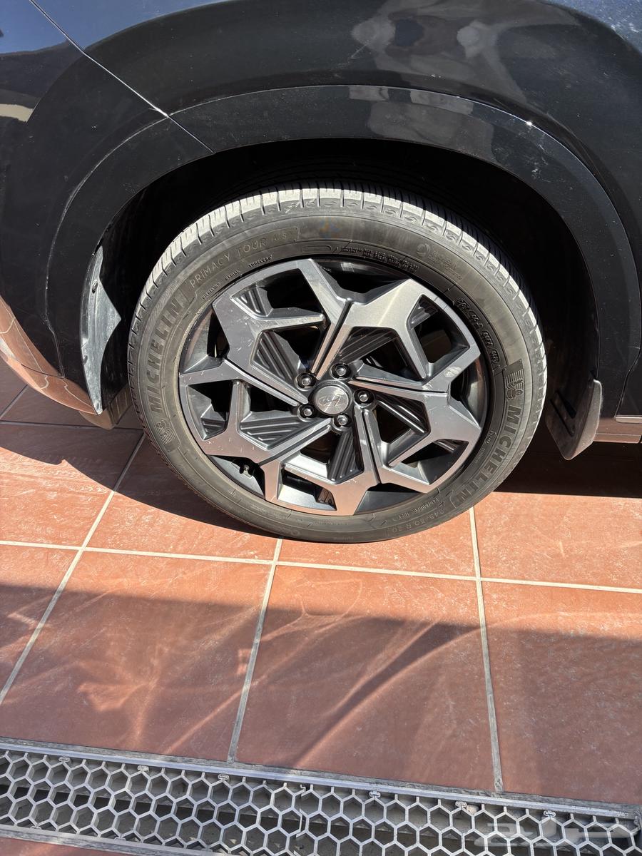 Hyundai Palisade VIP63185266620161111