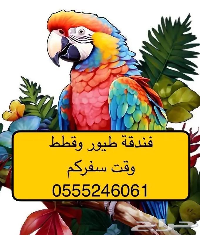 Birds Hotel 6061 24 0555 - 130 customer reviews63490850545411113