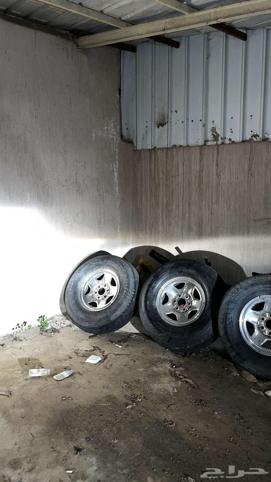 جنوط ديازل وبوالين63182806732419117