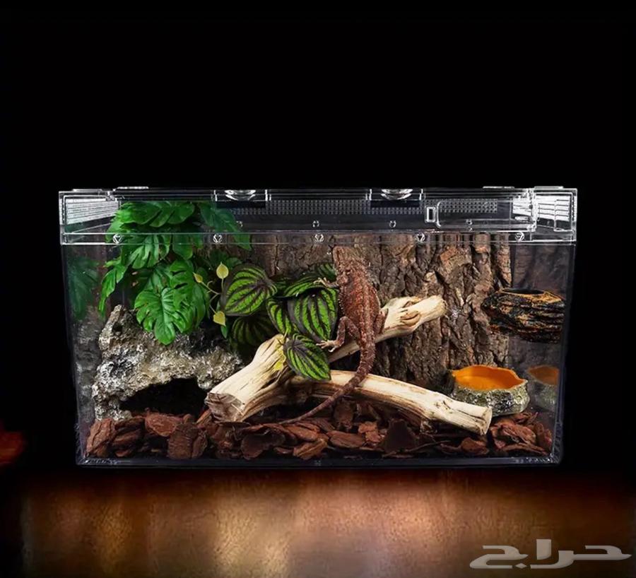Acrylic tank for reptiles, rodents and fish63125650574849113