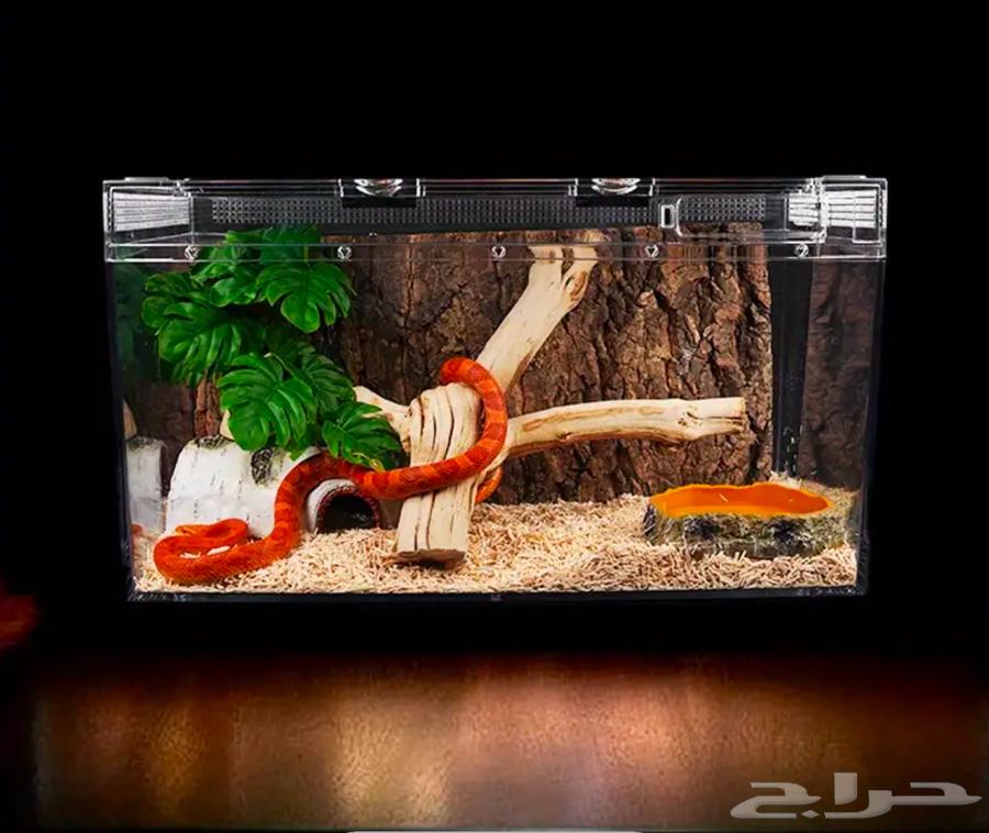 Acrylic tank for reptiles, rodents and fish63125650574849112