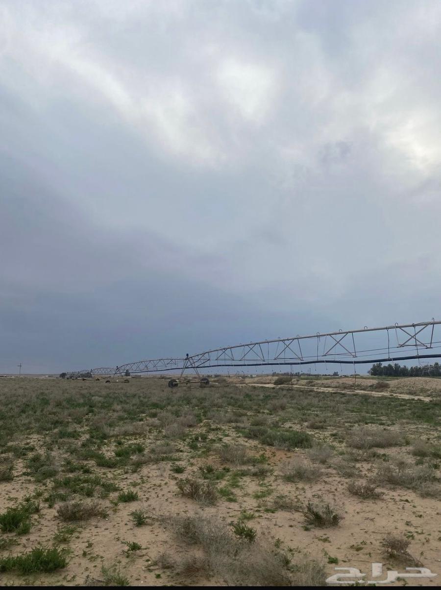 For sale, agricultural land west of Al-Muzanib63015673822723115