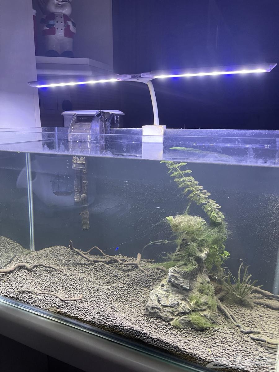 Fish tanks for sale63126401552643112